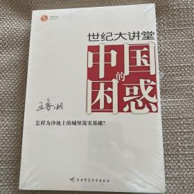 中国的困惑：怎样为沙地上的城堡筑实基础？