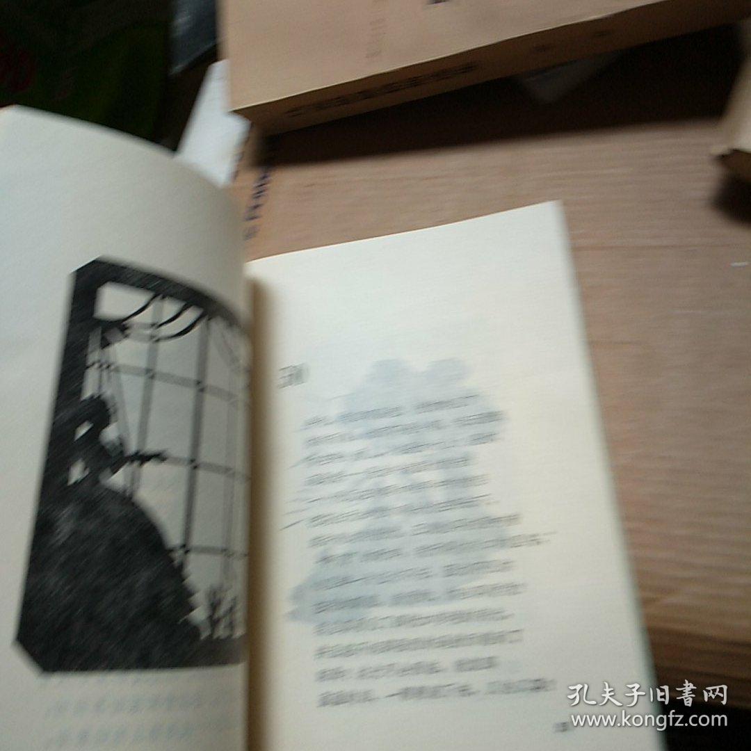 点击查看原图 抒情十四行诗集