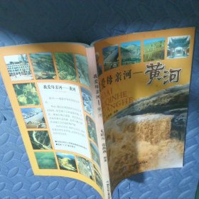 我爱母亲河——黄河