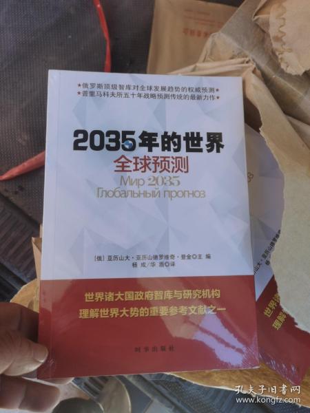 2035年的世界：全球预测