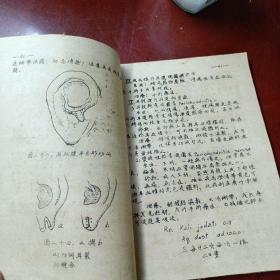 《耳科学》油印本  陈汉森医师编