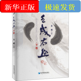 王成太极（下卷）