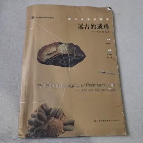远古的遗珍：中国恐龙蛋/远古生命的探索