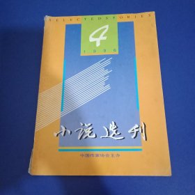 小说选刊 1996年第4期