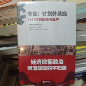 辛亥·计划外革命：1911年的民生与民声