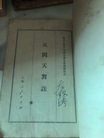 天问天对注
