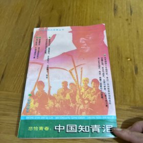 悲怆青春：中国知青泪