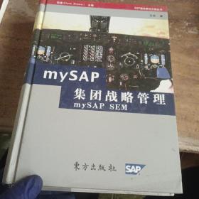 mySAP集团战略管理