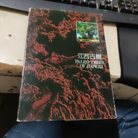 江西古樹