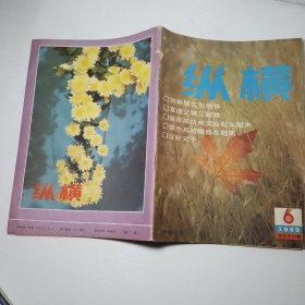 纵横 1989年6