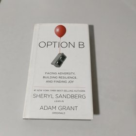 Option B: Facing Adversity, Building Resilience, and Finding Joy