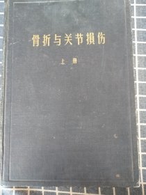 骨折与关节损伤（上册）【751幅插图】