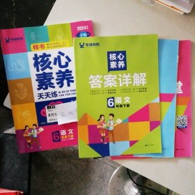 2024春核心素养天天练 小学语文六6年级下册 9787550157521