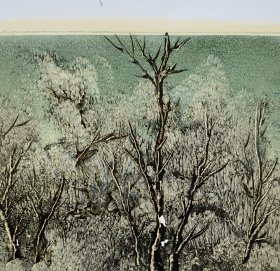 吉林画家关淑琴（中国非遗刀笔画-工艺难度大-立体效果好）6