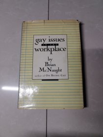 Gay Issues in the Workplace（工作场所的同性恋问题）