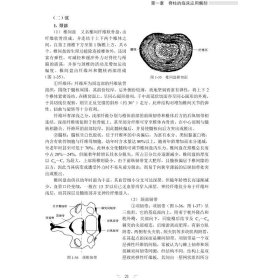 脊柱侧弯针刀整体松解治疗与康复/专科专病针刀整体松解治疗与康复丛书