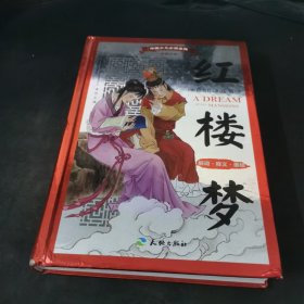 中国少儿必读金典：红楼梦