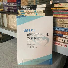 2017年战略性新兴产业发展展望