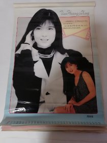 1995年天皇巨星.挂历（塑膜）