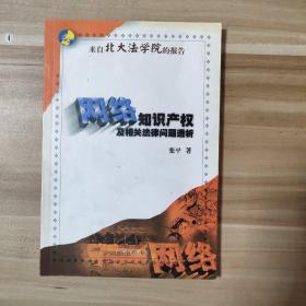 网络知识产权及相关法律问题透析