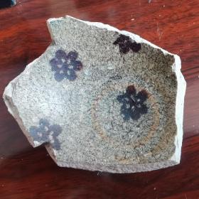 南宋吉州窑黑釉剪纸贴花朵梅纹盏瓷片。