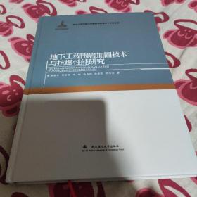 地下工程围岩加固技术与抗爆性能研究(精)/岩土工程地质力学模型试验理论与实践丛书