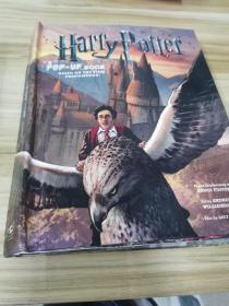 Harry Potter: A Pop-up Book: Based on the Film Phenomenon