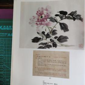 画页（散页印刷品）--国画---陆抑非作品选【魏紫姚黄、紫牡丹、月季花、国香春霁】692