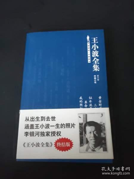 王小波全集（第六卷 中篇小说）：黄金时代 三十而立 似水流年 革命时期的爱情 我的阴阳两界