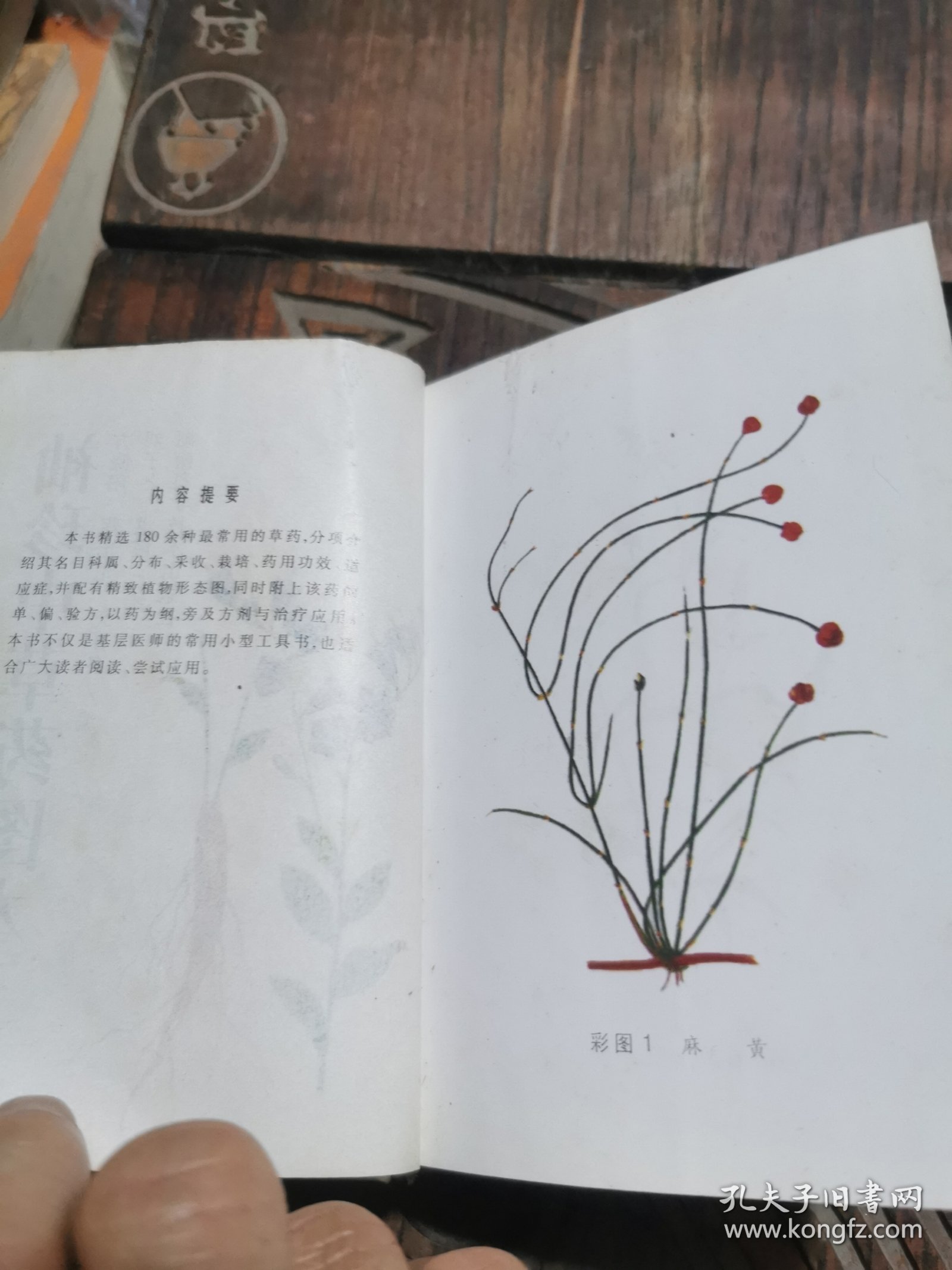 袖珍中草药图本
