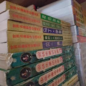 《红屋骑士》 世界名著新译珍藏系列