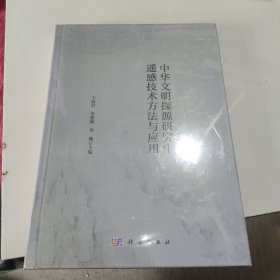 中华文明探源研究中遥感技术方法与应用