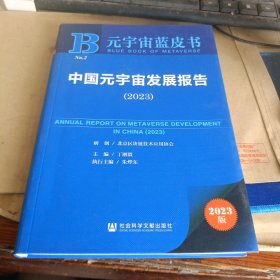 元宇宙蓝皮书：中国元宇宙发展报告（2023）