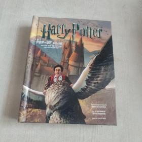 Harry Potter: A Pop-up Book: Based on the Film Phenomenon