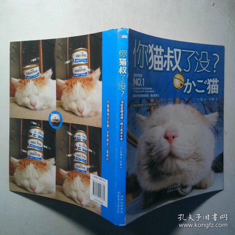 你猫叔了没
