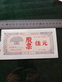 滁州市xx供销合作社股票，198*年五元