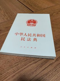 中华人民共和国民法典（大字本）（2020年6月）