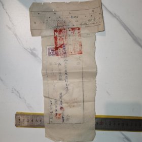 《1952，秋树两棵，一万七千元人民币，老收据》（约30*10厘米）