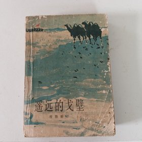 遥远的戈壁
