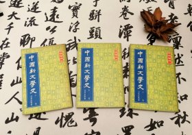 中国新文学史