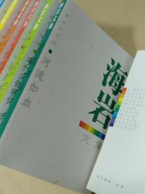 海岩文集【系列全11册合售】