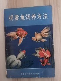 观赏鱼的饲养方法