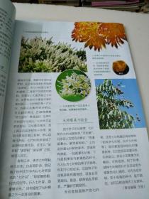博物2022年06月号