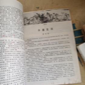 江苏画刊1985 2