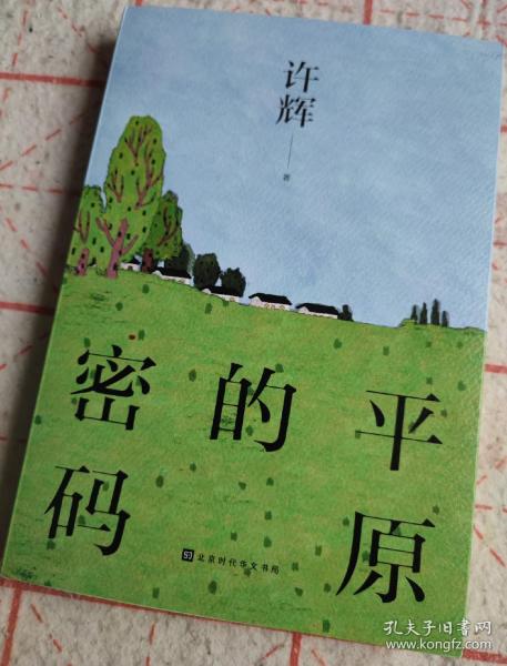 平原的密码（散文家许辉先生作品，对平原有着不同寻常的理解，对平原的社会和人群有着深入的思考）