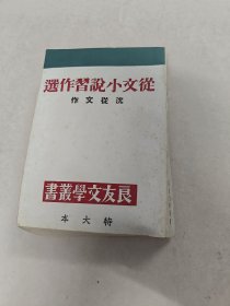 从文小说习作选（民国三十四年六月再版）（书棱有点破，前后几页有黄斑，印章，内容完整，品相如图）