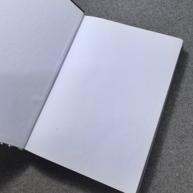 口袋妖怪终极红宝石始源蓝宝石究极大图鉴