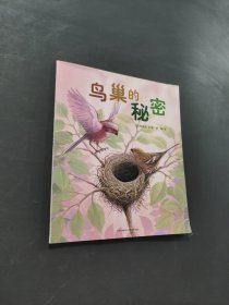 鳥巢的秘密