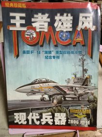 王者雄风 美国 f 14 雄猫重型舰载战斗机纪念专刊