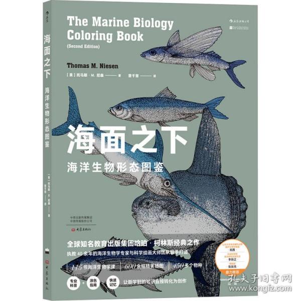 海面之下：海洋生物形态图鉴（一本可以涂色的海洋科普书）